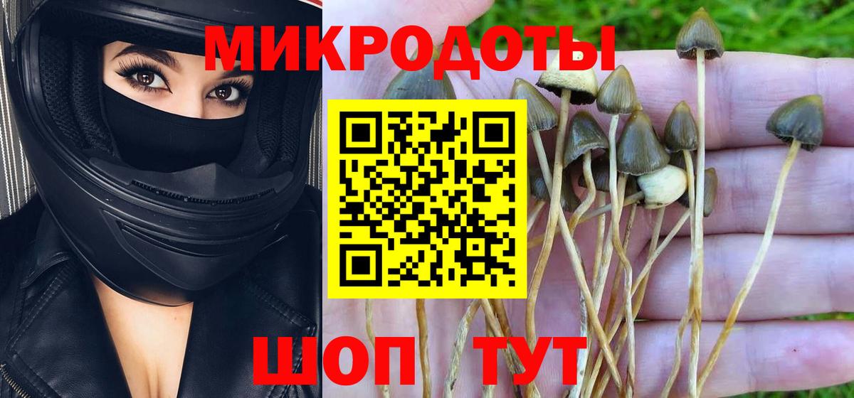 Галлюциногенные грибы GOLDEN TEACHER  Вход с VPN  как найти   Балтийск 